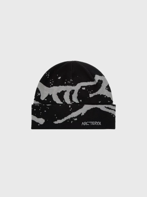 Arc'teryx Grotto Toque  Image