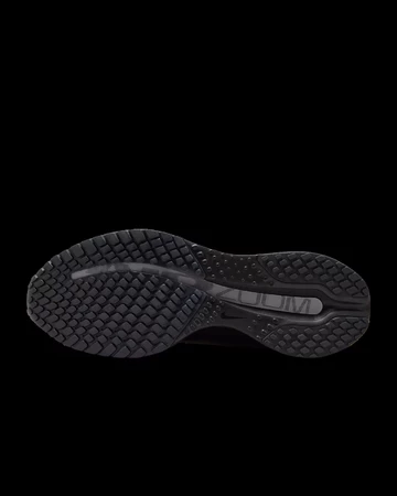 Nike Pegasus Premium Black White Sohle