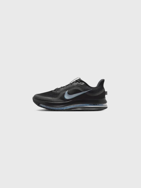Nike Pegasus Premium Black Metallic Silver Image