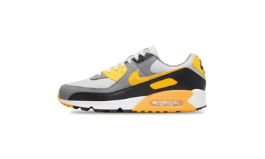 Nike Air Max 90 Pollen 