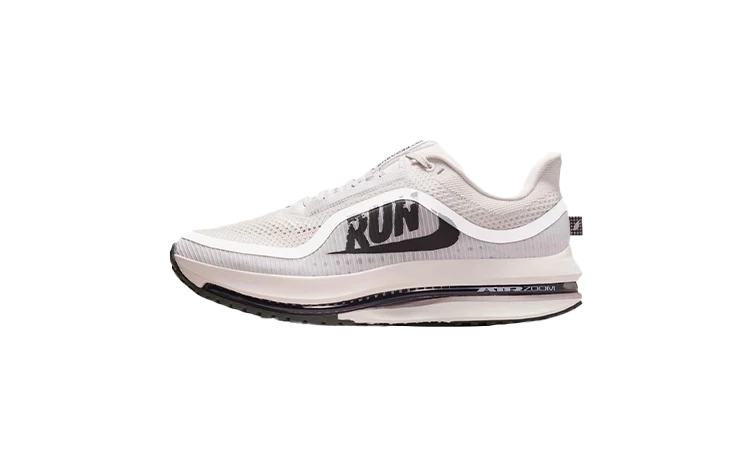 Nike Pegasus Premium Run Dead Stock