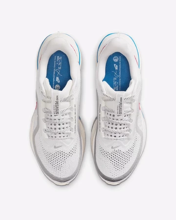 Nike Pegasus Premium Forrest Gump Paar