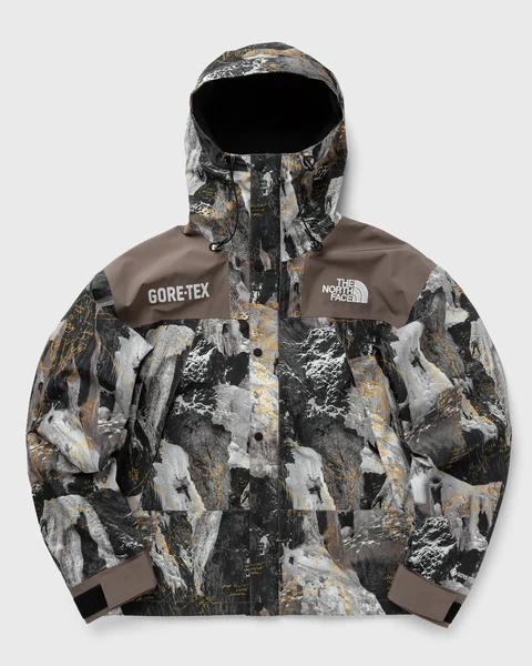 The North Face GTX MTN Jacket Image