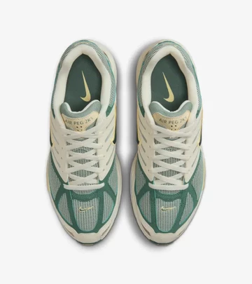 Nike Air Pegasus 2K5 Bicoastal von oben