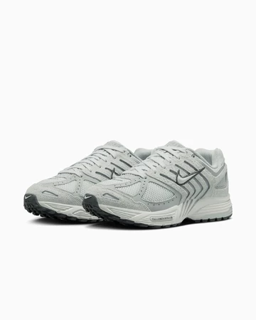 Nike Air Pegasus 2k5 Pure Platinum Paar schräg seitlich