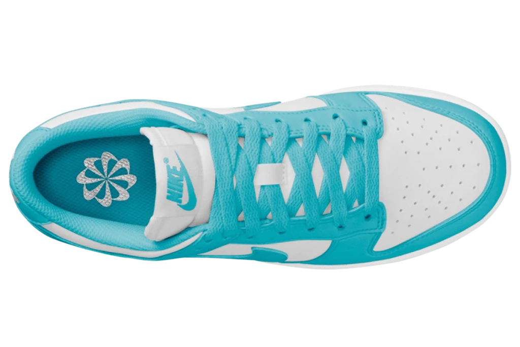 Dunk Low Next Nature Dusty Cactus DD1873-105 | Dead Stock