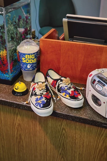 Vans Premium Authentic Multicolour Paar Mood