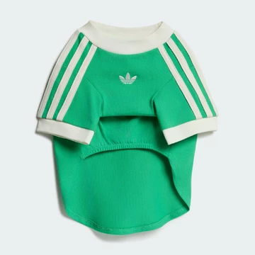 adidas World Cup Pet Collection grün