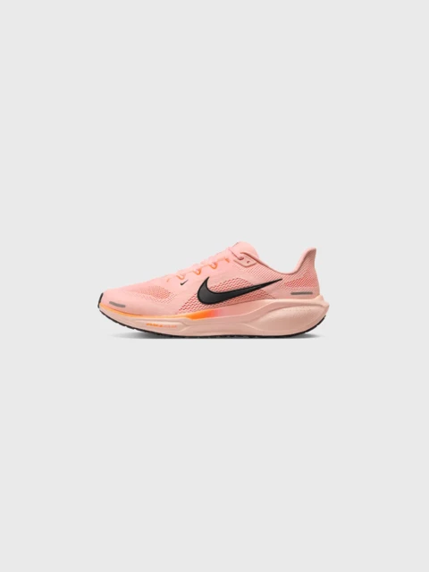 Nike Pegasus 41 Crimson Tint  Image