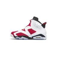 Jordan 6 Icon