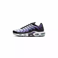 Air Max Plus Icon